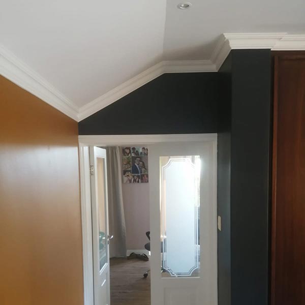 Residential painting specialists